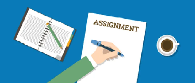Homework and learning activity management in Ilmversity